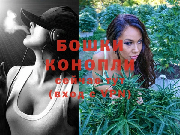 не бодяженный Новозыбков