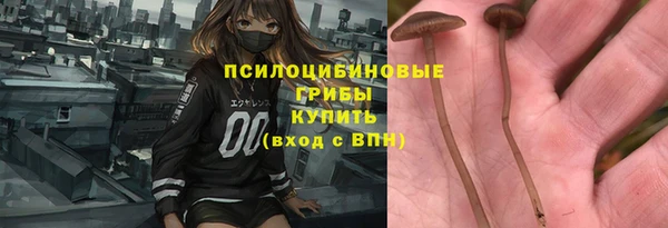 a pvp Новокубанск