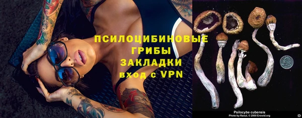 a pvp Новокубанск