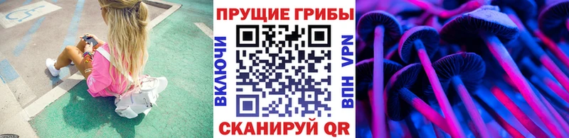 OMG как войти  Тырныауз  Галлюциногенные грибы ЛСД  наркошоп 